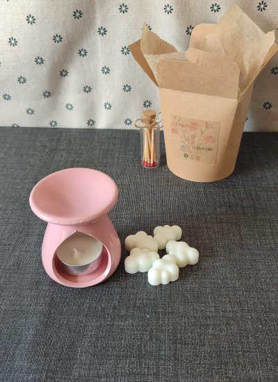 1 elije tus waxmelts